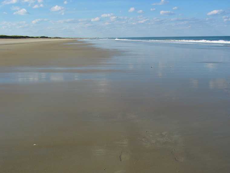 Sept 24, 2003 - Parker River National Wildlife Refuge, Plum Island, Massachusetts.<br />On a walk south of parking lot #5 with John Geesink.<br />We found lots of sand dollars on the beach there.