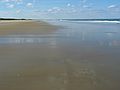 Sept 24, 2003 - Parker River National Wildlife Refuge, Plum Island, Massachusetts.<br />On a walk south of parking lot #5 with John Geesink.<br />We found lots of sand dollars on the beach there.