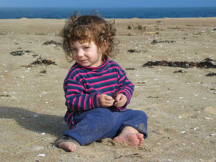 Sept 27, 2003 - Parker River Wildlife Refuge, Plum Island, Massachusetts.<br />Off parking lot #5.<br />Miranda.