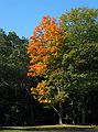 Oct 11, 2003 - Maudslay State Park, Newburyport, Massachusetts.