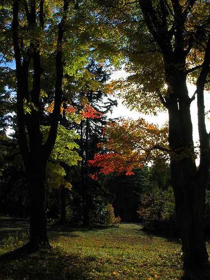 Oct 20, 2003 - Newburyport, Massachusetts.<br />On a walk with John Geesing in Maudslay State Park.