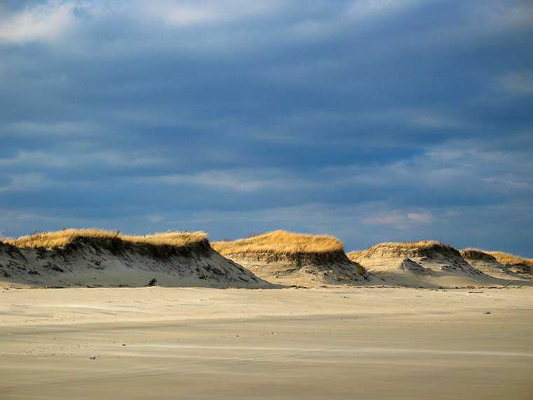 Nov 30, 2003 - Parker River National Wildlife Refuge, Plum Island, Massachusetts.<br />In quest of sand dollars on beach off parking lot #5. Joyce picked up 54 shells.