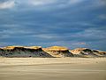 Nov 30, 2003 - Parker River National Wildlife Refuge, Plum Island, Massachusetts.<br />In quest of sand dollars on beach off parking lot #5. Joyce picked up 54 shells.