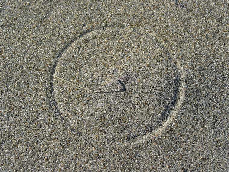 Dec 19, 2003 - Parker River National Wildlife Refuge, Plum Island, Massachusetts.<br />Walk south off parking lot #5 with Joyce and John Geesink.