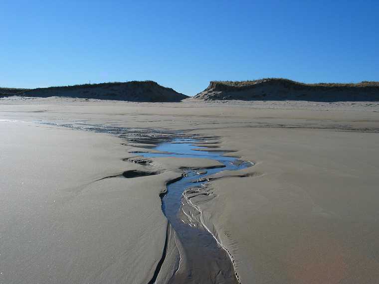 Dec 19, 2003 - Parker River National Wildlife Refuge, Plum Island, Massachusetts.<br />Walk south off parking lot #5 with Joyce and John Geesink.