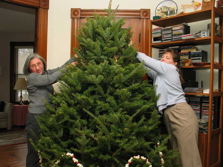 Dec 21, 2003 - Merrimac, Massachusetts.<br />Christmas tree decorating party.<br />Joyce and Holly.