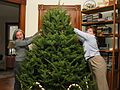 Dec 21, 2003 - Merrimac, Massachusetts.<br />Christmas tree decorating party.<br />Joyce and Holly.