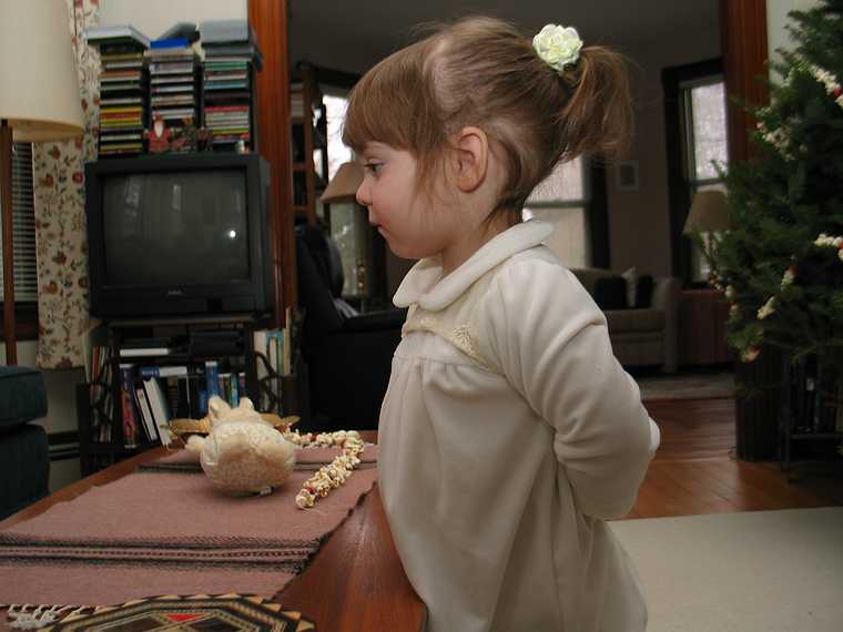 Dec 21, 2003 - Merrimac, Massachusetts.<br />Christmas tree decorating party.<br />Miranda.