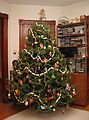 Dec 24, 2003 - Merrimac, Massachusetts.<br />John and Bonnie visiting on Christmas Eve.