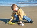 Dec 29, 2003 - Parker River National Wildlife Refuge, Plum Island, Massachusetts.<br />Max.