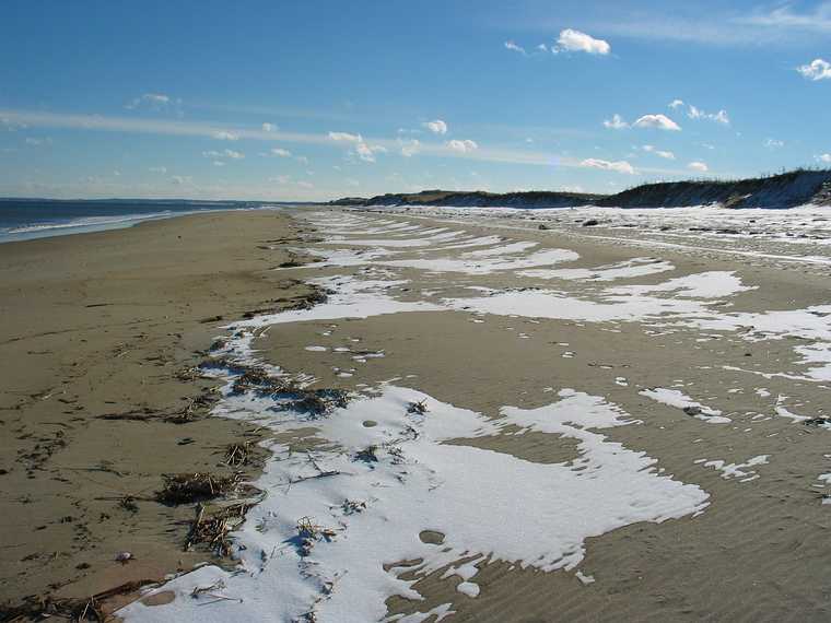 Jan 6, 2004 - Parker River National Wildllife Refuge, Plum Island, Massachusetts.