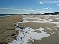 Jan 6, 2004 - Parker River National Wildllife Refuge, Plum Island, Massachusetts.