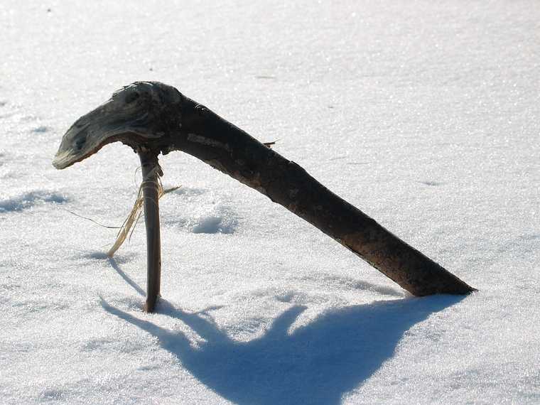 Jan 6, 2004 - Parker River National Wildllife Refuge, Plum Island, Massachusetts.