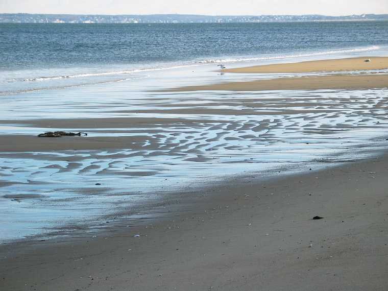 Jan 6, 2004 - Parker River National Wildllife Refuge, Plum Island, Massachusetts.