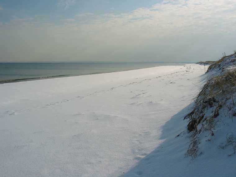 Jan 12, 2004 - Parker River National Wildlife Refuge, Plum Island, Massachusetts.