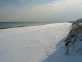 Jan 12, 2004 - Parker River National Wildlife Refuge, Plum Island, Massachusetts.