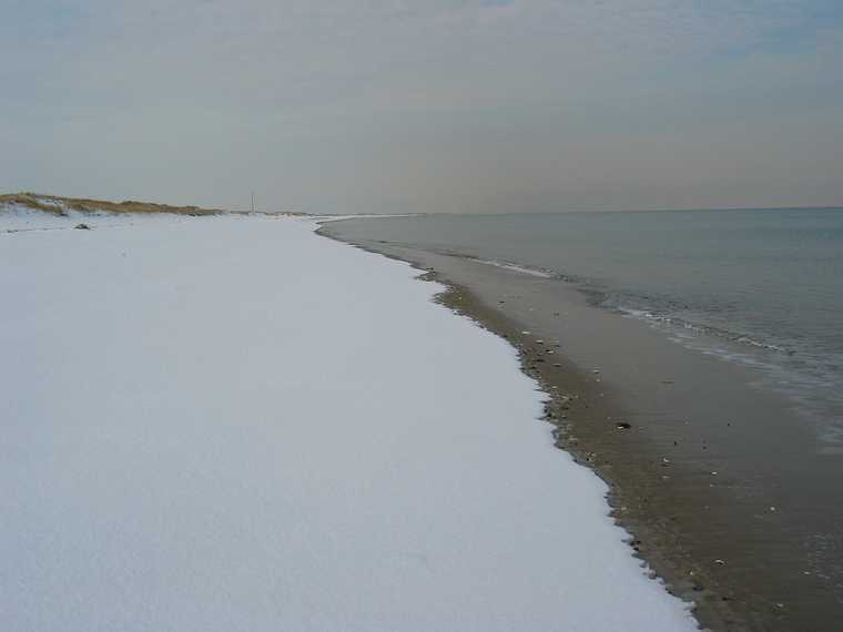 Jan 12, 2004 - Parker River National Wildlife Refuge, Plum Island, Massachusetts.