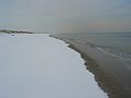 Jan 12, 2004 - Parker River National Wildlife Refuge, Plum Island, Massachusetts.