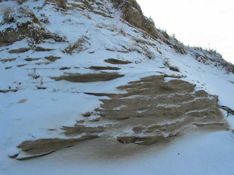 Jan 12, 2004 - Parker River National Wildlife Refuge, Plum Island, Massachusetts.