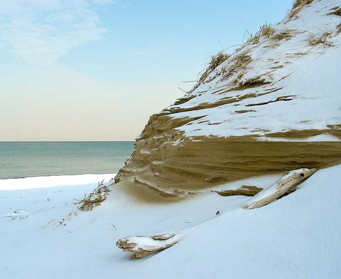 Jan 12, 2004 - Parker River National Wildlife Refuge, Plum Island, Massachusetts.