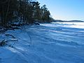 Jan 15, 2004 - Maudslay State Park, Newburyport, Massachusetts.<br />Along the frozen Merrimack River.