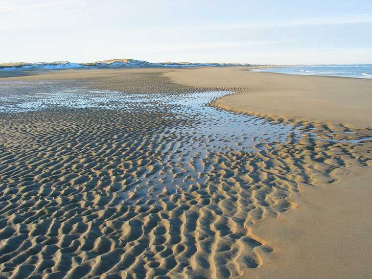 Jan 21, 2004 - Parker River National Wildlife Refuge, Plum Island, Massachusetts.<br />Between parking lots 5 and 6.