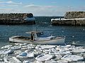 Jan 30, 2004 - Lane's Cove, Cape Ann, Massachusetts.