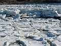 Jan 30, 2004 - Lane's Cove, Cape Ann, Massachusetts.