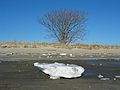 Feb 2, 2004 - Sandy Point State Park, Plum Island, Massachusetts.