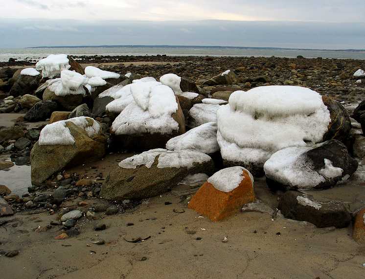 Feb 3, 2003 - Sandy Point State Preserve, Plum Island, Massachusetts.