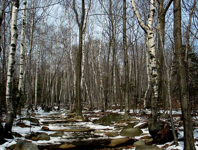 March 14, 2004 - Mt. Monadnock, New Hampshire.<br />Hike on the White Dot Trail.