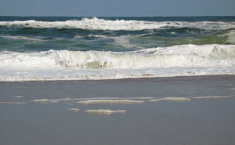 March 18, 2004 - Parker River Wildlife Refuge, Plum Island, Massachusetts.