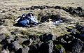 March 20, 2004 - Near lighthouse sculpture, SE of Reykjavik, Iceland.<br />Dagbjrt, Eric, Gujn, and Inga.