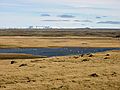 March 20, 2004 - Near lighthouse sculpture SE of Reykjavik, Iceland.<br />White swans in the pond. Mt. Esja (914 m) in the distance?