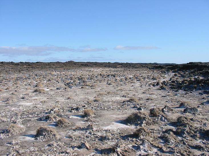March 22, 2004 - Between Reykjanes and Hafnir on the end of Suurnes, Iceland.<br />Land encrusted with salts.