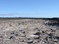 March 22, 2004 - Between Reykjanes and Hafnir on the end of Suurnes, Iceland.<br />Land encrusted with salts.