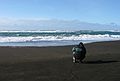 March 22, 2004 - Between Reykjanes and Hafnir on the end of Suurnes, Iceland.<br />Beach in Stra-Sandvk bay.<br />Eric.