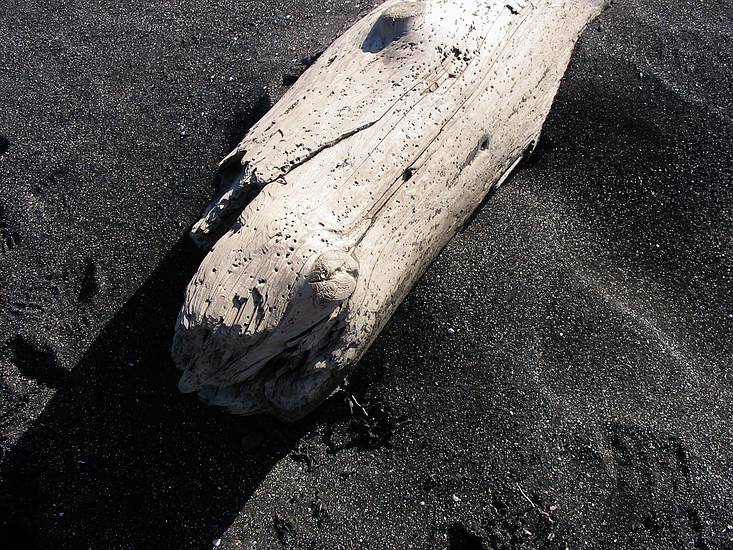 March 22, 2004 - Between Reykjanes and Hafnir on the end of Suðurnes, Iceland.<br />At beach in Stóra-Sandvík bay.