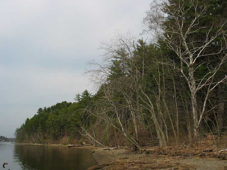 April 17, 2004 - Maudslay State Park, Newburyport, Massachusetts.<br />Along the banks of the Merrimack River.