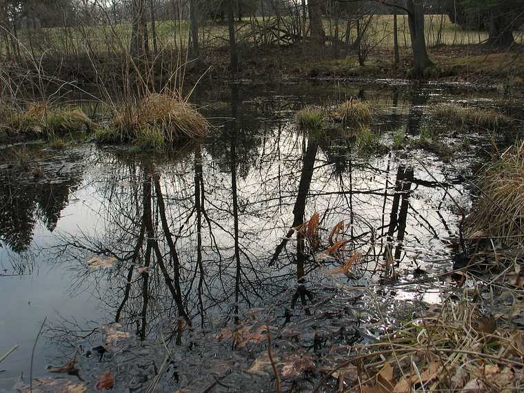 April 17, 2004 - Maudslay State Park, Newburyport, Massachusetts.