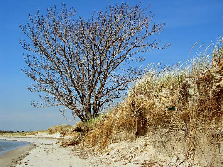 May 5, 2004 - Sandy Point Reservation, Plum Island, Massachusetts.