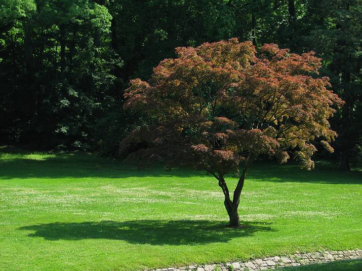 May 22, 2004 - Evergreen House, Baltimore, Maryland.