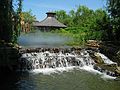 May 25, 2004 - Grounds for Sculpture, Hamilton, New Jersey.