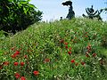 May 25, 2004 - Grounds for Sculpture, Hamilton, New Jersey.<br />J. Seward Johnson, Jr., "On Poppied Hill", 1999,<br />after Claude Monet's "Poppies", 1873.