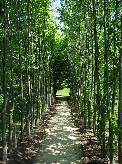 May 25, 2004 - Grounds for Sculpture, Hamilton, New Jersey.