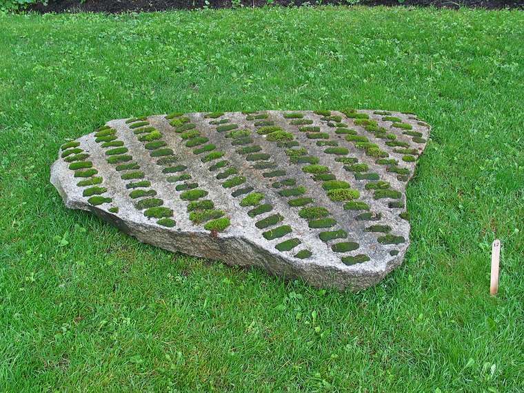 June 2, 2004 - June LaCombe/SCULPTURE at Hawk Ridge, Pownal, Maine.<br />Opening Reception.<br />Gary Haven Smith, "Different Paths"; granite, moss; $6400.