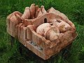 June 2, 2004 - June LaCombe/SCULPTURE at Hawk Ridge, Pownal, Maine.<br />Opening Reception.