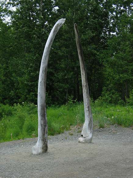 June 11, 2004 - Anchorage, Alaska.<br />Alaska Native Heritage Center.<br />Whale jaw bones.