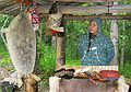 June 11, 2004 - Anchorage, Alaska.<br />Alaska Native Heritage Center.<br />Native docent with inflated seal skin used as a float for whaling.