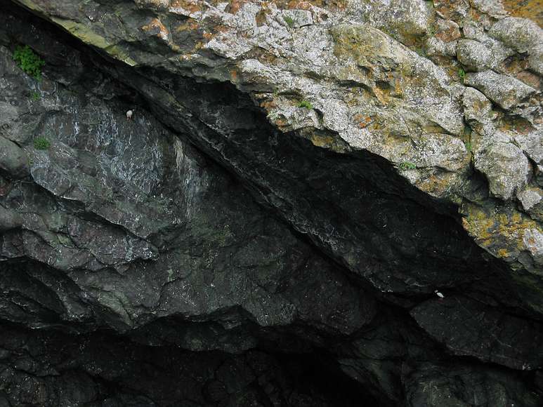 June 12, 2004 - Resurrection Bay, Alaska.<br />Two puffins.